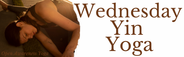 free live yin yoga